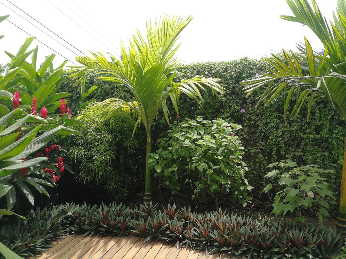 Tamandua -Home Feeling- La Fortuna Exterior foto